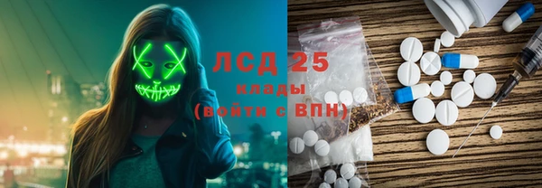 дживик Бородино