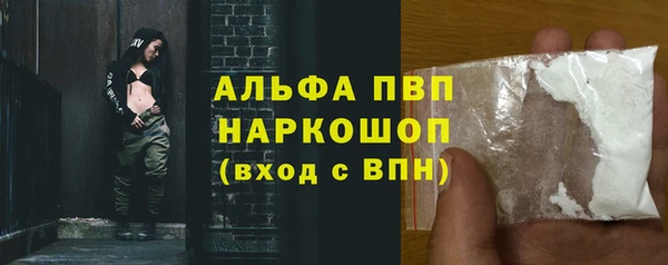 дживик Бородино
