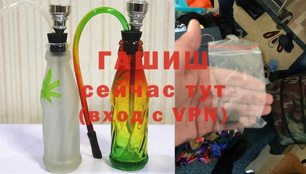 дживик Бородино