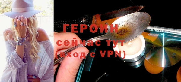 дживик Бородино