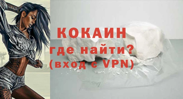 дживик Бородино