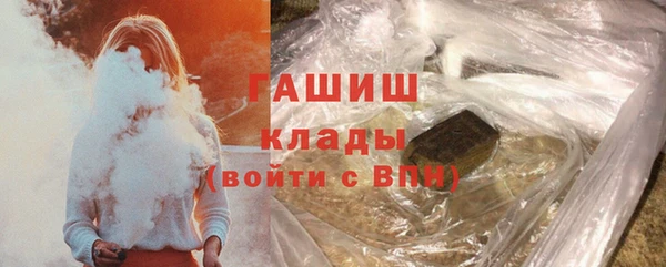 дживик Бородино