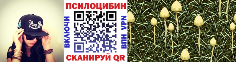 Псилоцибиновые грибы прущие грибы  Харабали 
